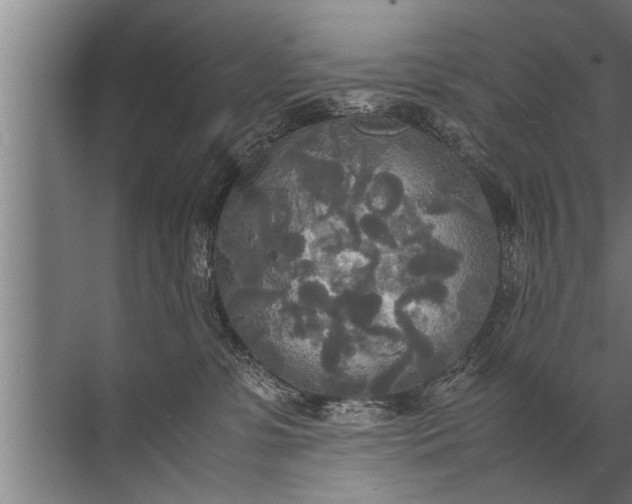 X0000072520331200607290205