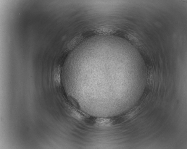 X0000072520334200607290205