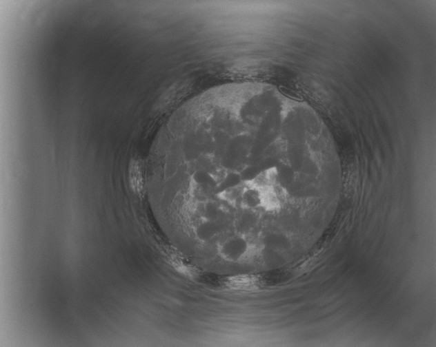 X0000072520335200607290205