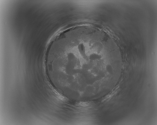 X0000072520341200607290204