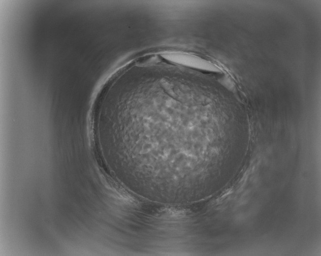 X0000072520343200607290204