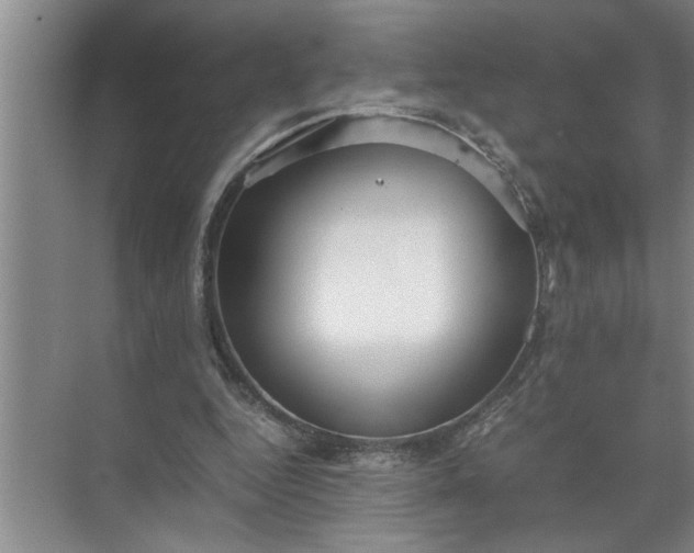 X0000072520344200607290204