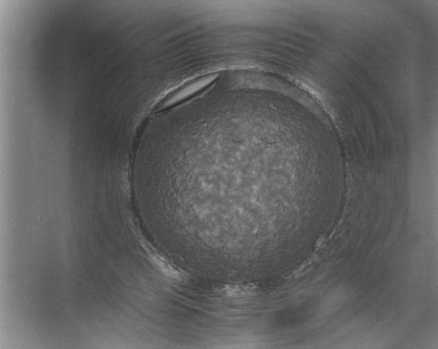 X0000072520345200607290204