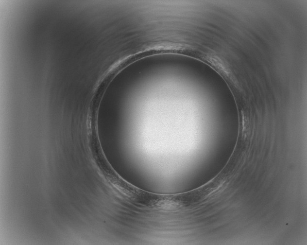 X0000072520348200607290204