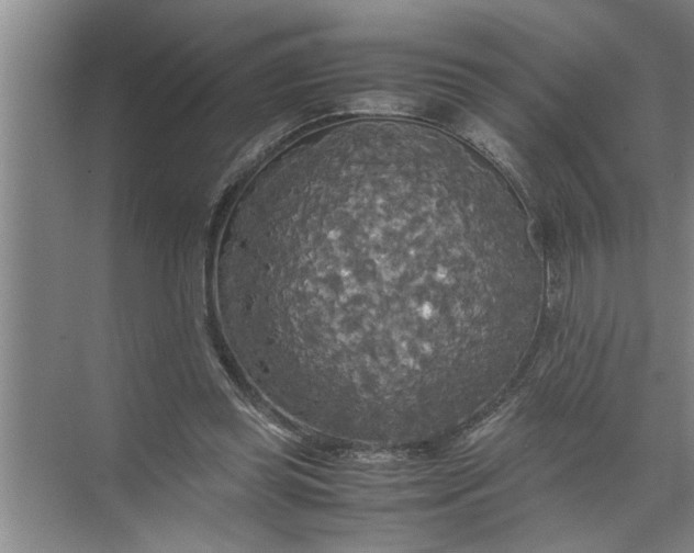 X0000072520349200607290204