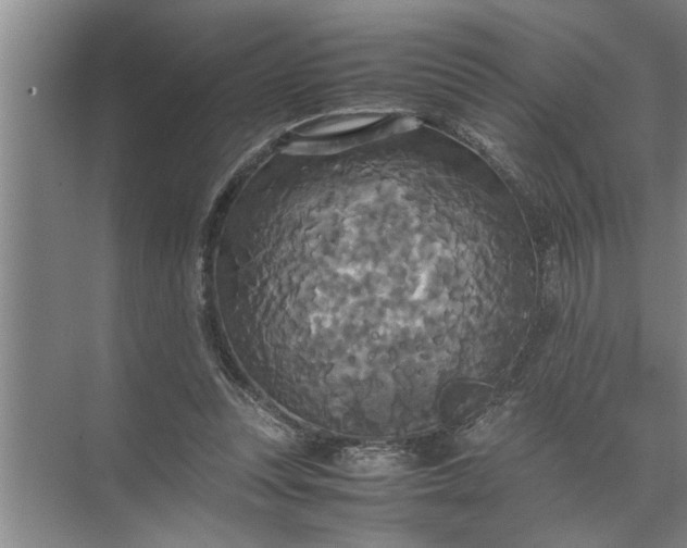 X0000072520351200607290204