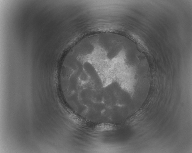 X0000072520354200607290204