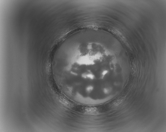 X0000072520355200607290204