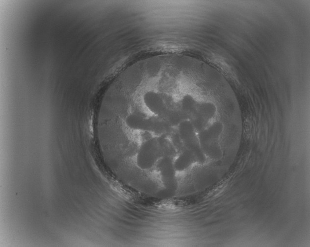 X0000072520358200607290204