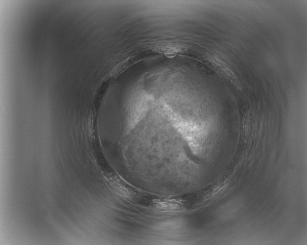 X0000072520359200607290204