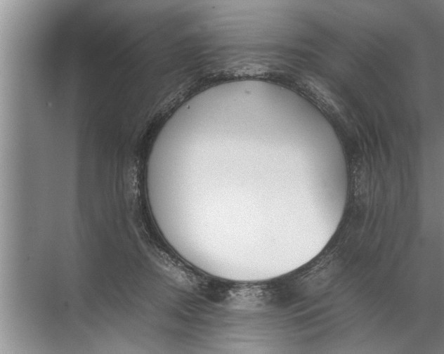 X0000072520362200607290204