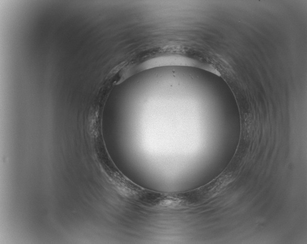 X0000072520364200607290204