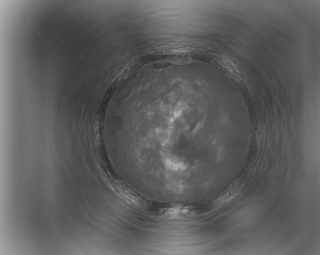 X0000072520366200607290204