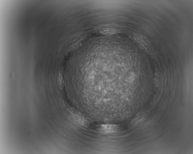 X0000072520371200607290204