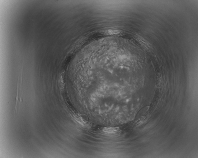 X0000072520373200607290204