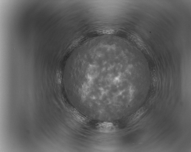 X0000072520374200607290204