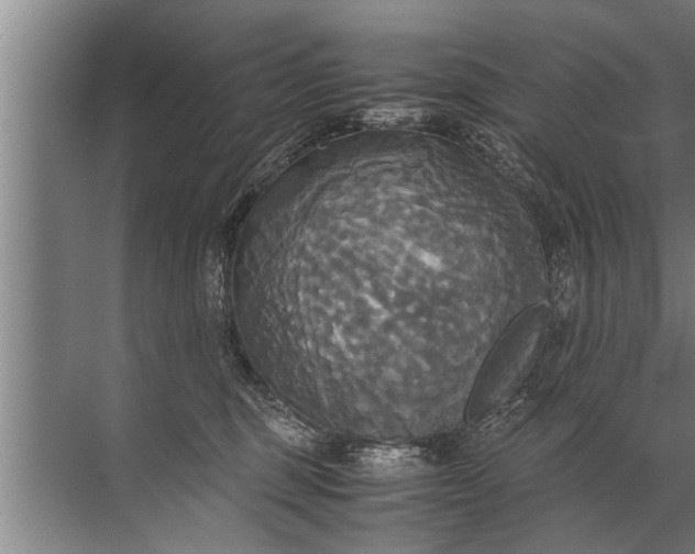 X0000072520375200607290204