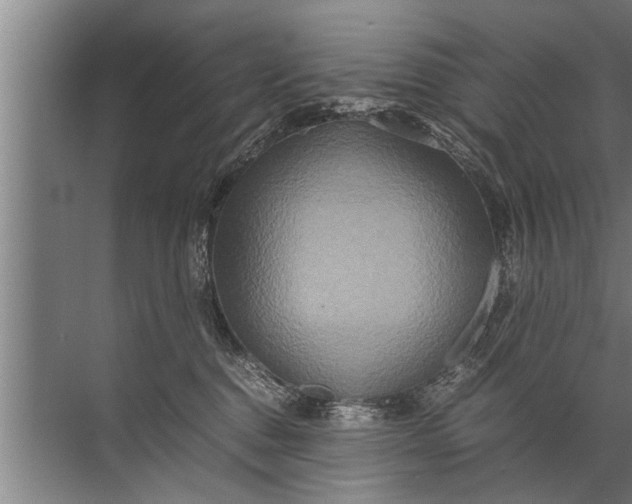 X0000072520376200607290204