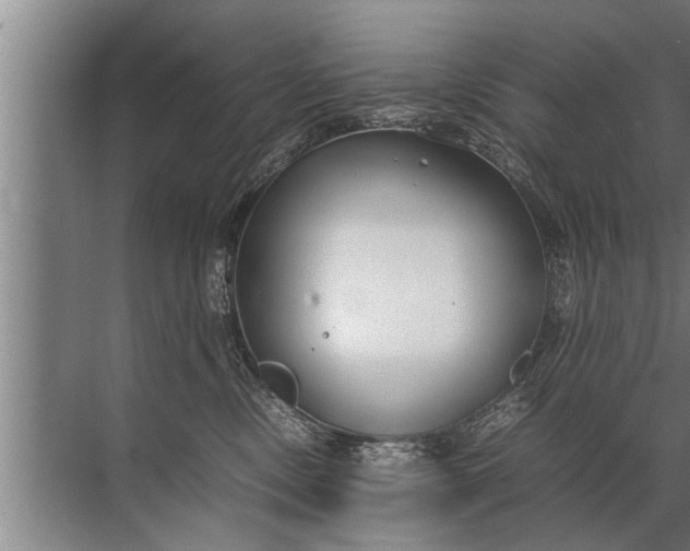 X0000072520378200607290204