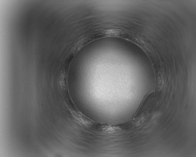 X0000072520379200607290204