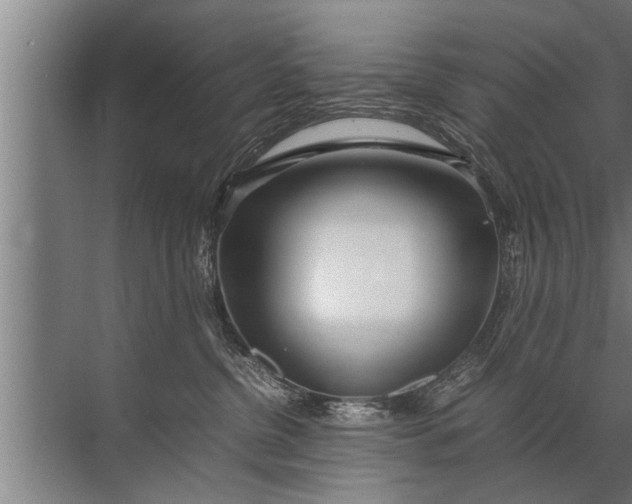 X0000072520380200607290205