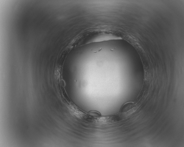 X0000072520382200607290205