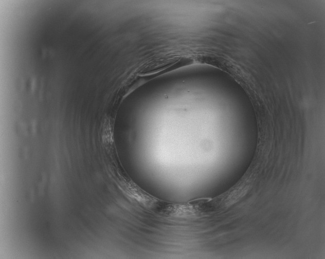 X0000072520384200607290205