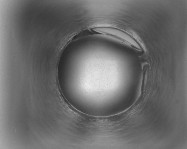 X0000072520385200607290204