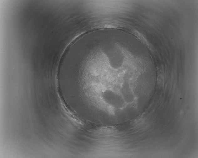 X0000072520386200607290204