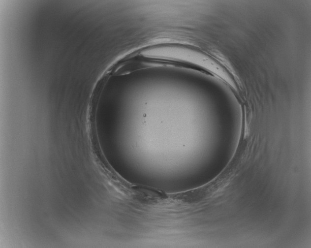 X0000072520387200607290204