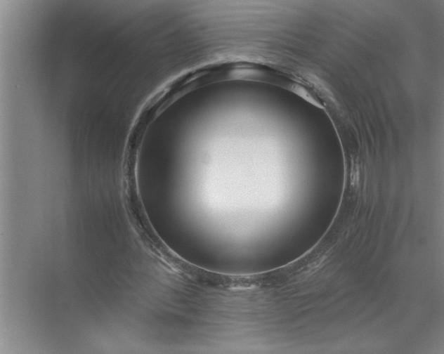 X0000072520388200607290204