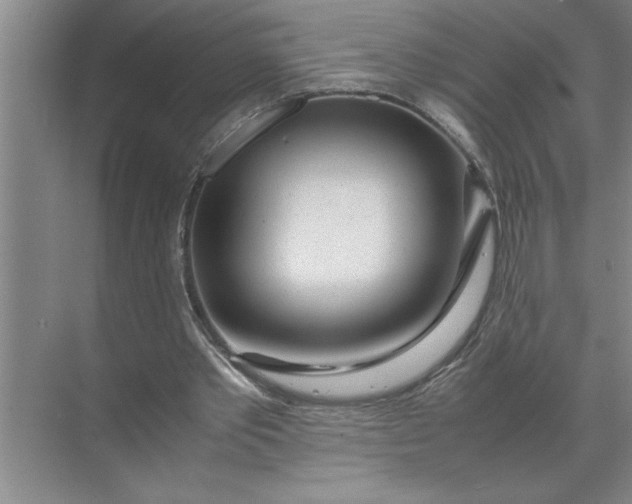 X0000072520389200607290204