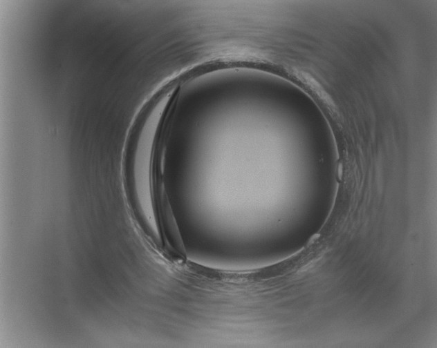 X0000072520391200607290204