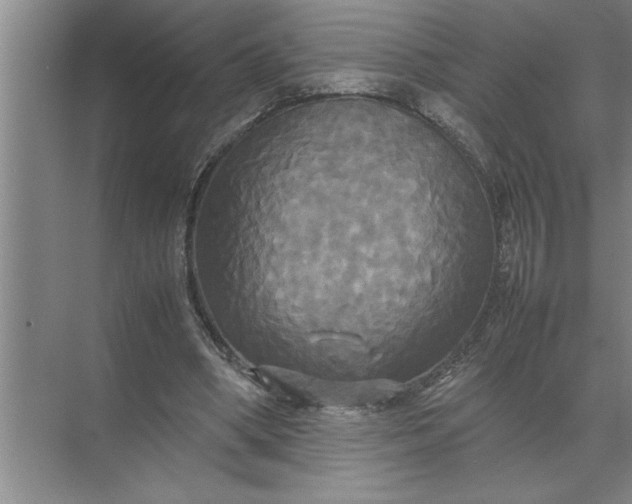 X0000072520394200607290204