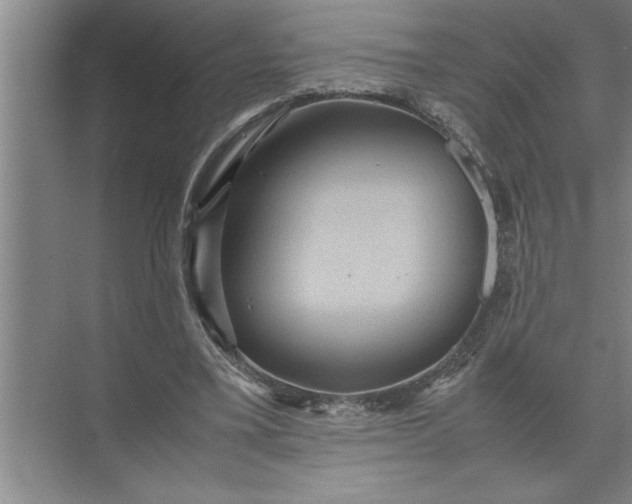 X0000072520395200607290204