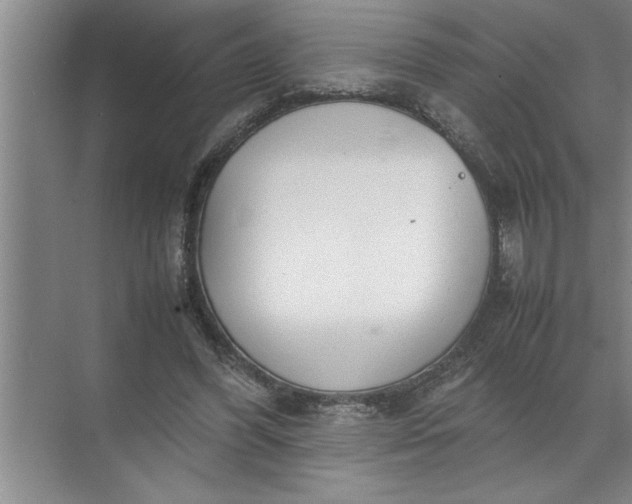 X0000072520396200607290204