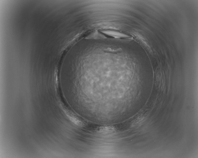 X0000072520398200607290204