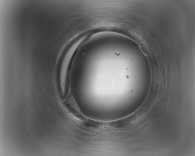 X0000072520399200607290204