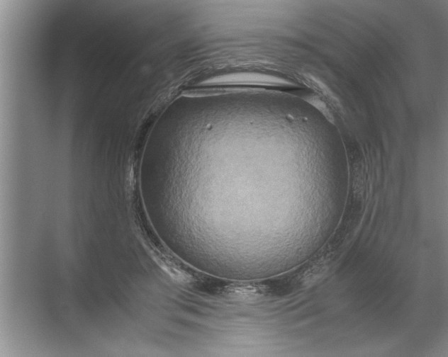 X0000072520405200607290203