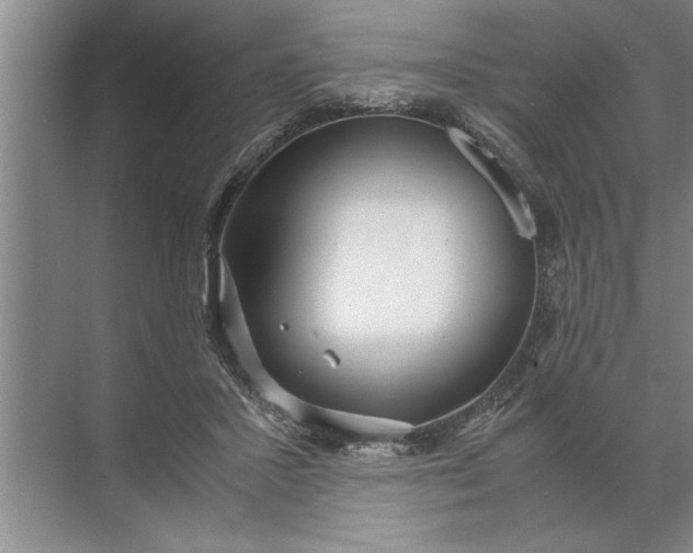 X0000072520407200607290203