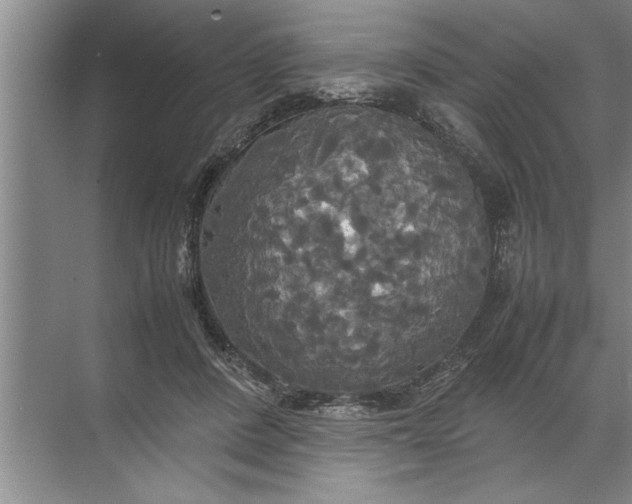 X0000072520408200607290203