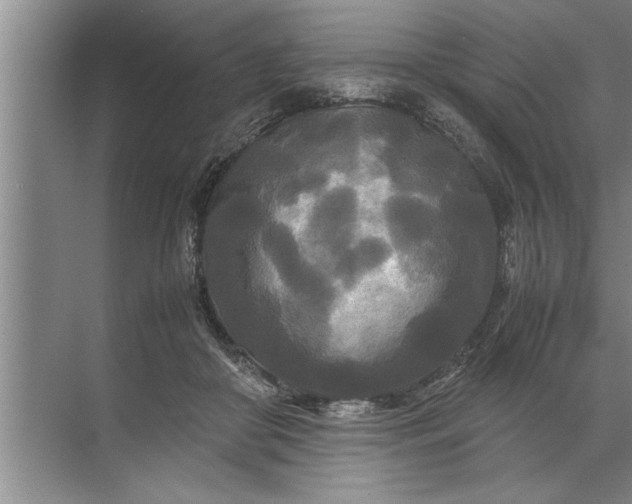 X0000072520410200607290203