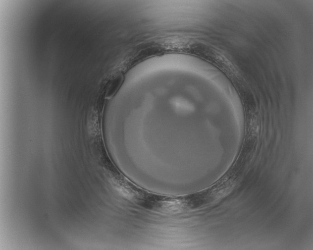 X0000072520411200607290203