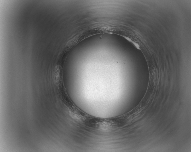 X0000072520412200607290203