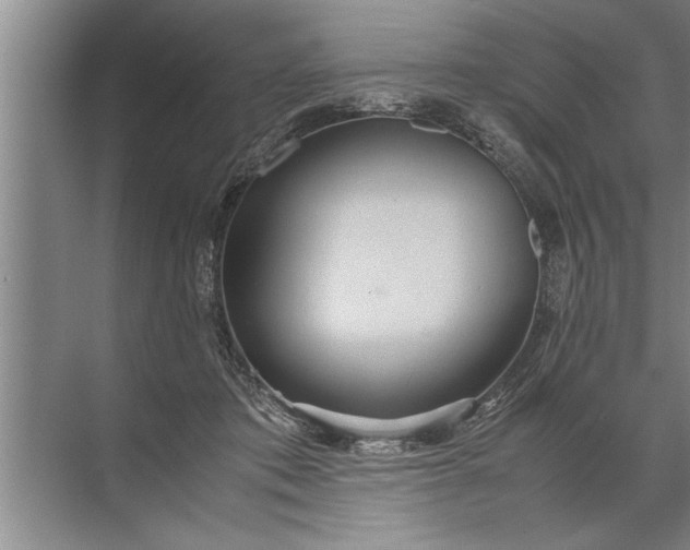 X0000072520413200607290203