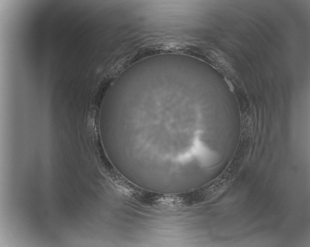 X0000072520415200607290203