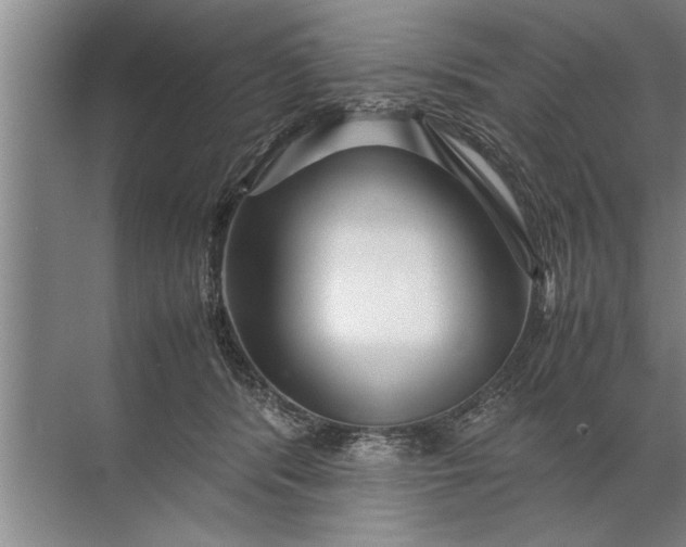 X0000072520416200607290203