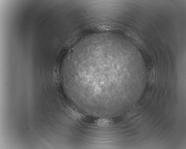 X0000072520418200607290203