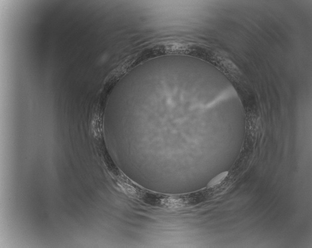 X0000072520419200607290203