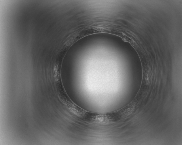 X0000072520420200607290203